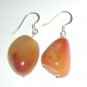 Brown Agate earrings