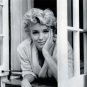 Marilyn Monroe Window