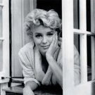 Marilyn Monroe Window1