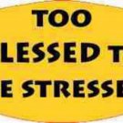 Too Blessed To Be Stressed