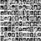 Celebrity Yearbook