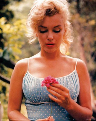 Marilyn Monroe Flower2