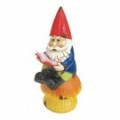 Bookworm Gnome Solar Statue X662-10018055