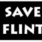 Save Flint License Plate