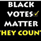 Black Votes Matter License Plate