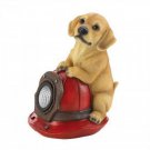 Dog And Fire Helmet Solar Statue X662-10018962