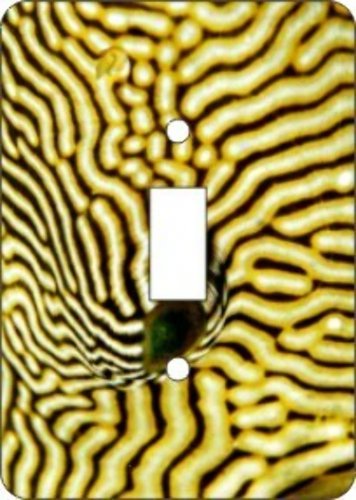 Puffer Fish Switch Plate Cover (African American Single Switch Plate)