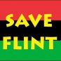 Save Flint Red, Black Green License Plate