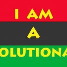 I Am A Revolutionary License Plate