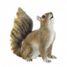 Bushy Tail Squirrel Figurine X662-10017887