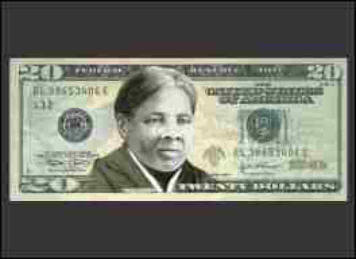 Harriet Tubman Twenty Dollar Bill Refrigerator (African American
