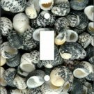 Mud Snail Sea Shells Switch Plate (African American Single Switch Plate)