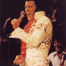 Elvis Presley: Hawaii II Poster