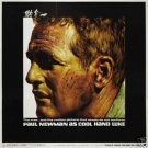 Cool hand Luke Paul Newman2a Poster