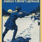 Wolf Hunter - 12"x18" Poster