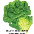 Lettuce - 20"x30" Poster