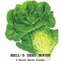 Lettuce - 20"x30" Poster