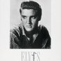 Elvis1 Poster