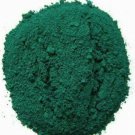 Green Iron OXIDE Powder ~ High Grade Pigment Powder 10g ceramics