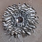 Zebra Gerbera Daisy Hair Clip