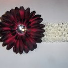 Burgandy Gerbera Daisy flower hair clip on cream 1.5 inch headband