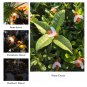 Solar Powered Mini Bee LED Lights, fully waterproof, perfect as gifts and outdoor garden use.