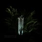 8 Bubble White LED Light Outdoor Lawn Garden Solar Powered Sticks
