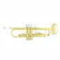 SLADE Professional Trumpet Bb B Flat Brass Instrument 2 Color Trompete With Case