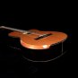 Guitare Électrique JE6 avec Accoudoir