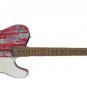 Rare Dusty Hill Billy Gibbons John Bolin Peeler Précision Relique Red Bass Guitare