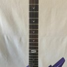Guitare Électrique 6 Cordes Custom Razorback