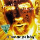 ashley macisaac : hi how are you today? (CD 1995 A&M, used mint) ashley macisaac : hi how are you today? (CD 1995 A&M, used mint)
