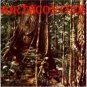 birth control -  jungle life CD 1996 green tree germany 9 tracks used like new GTR 050