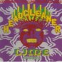 lime spiders : headcleaners CD 1988 virgin made in australia used mint
