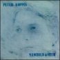 peter koppes : manchild & myth CD 1988 rykodisc made in canada used