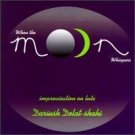 dariush dolat-shahi : when the moon whispers - improvisation on lute CD 1995 radius music used mint