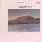 wayne gratz - panorama CD 1990 narada 10 tracks - used mint
