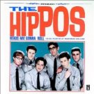 the hippos - heads are gonna roll CD 1999 interscope 14 tracks used barcode punched