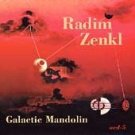 radim zenkl - galactic mandolin CD 1992 acoustic disc 13 tracks used mint radim zenkl - galactic mandolin CD 1992 acoustic disc 13 tracks used mint