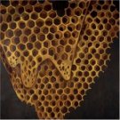 telefon tel aviv - map of what is effortless CD 2004 hefty records used mint