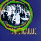 capercaillie - beautiful wasteland CD 1998 survival rykodisc used very good