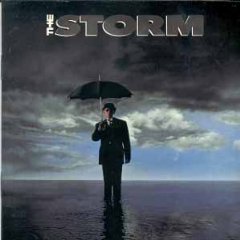 the storm CD 1991 interscope 12 tracks used mint inserts punched