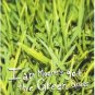 ian moore - ian moore's got the green grass CD 1999 hablador used mint