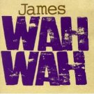 james - wah wah CD 1994 phonogram mercury polygram 23 tracks used mint