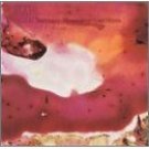 amp - Astralmoonbeamprojections CD 1997 kranky 8 tracks used mint