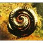 nine inch nails - closer CD single 2-discs 1994 TVT interscope made in UK 9 tracks total mint