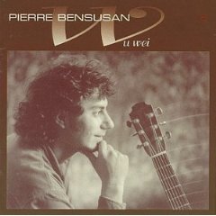 pierre bensusan - wu wei CD 1995 rounder used mint