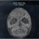 bonnie "prince" billy - i see a darkness CD 1999 palace records 11 tracks used like new PR22