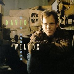 david wilcox - big horizon CD 1994 A&M 15 tracks used mint