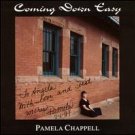 pamella chappell - coming down easy CD 1995 big blue water 12 tracks used mint